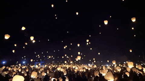 Mandala-water-lantern-festival GIFs - Get the best GIF on GIPHY