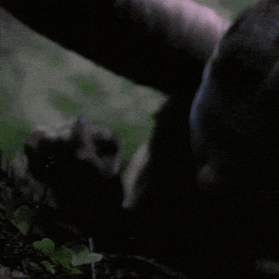 Мелодрама или триллер