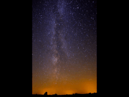 Chodlik Chodlik.Edu.Pl GIF