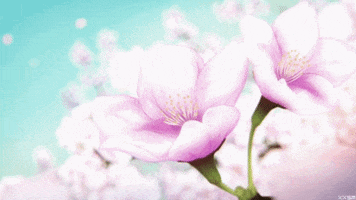pink flower GIF