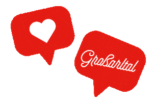 Salzburgerland Skiamade Sticker by Grossarltal