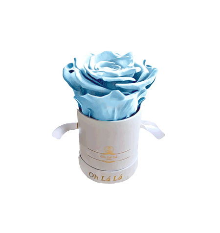 Flowers Love Sticker by Oh La La Roses