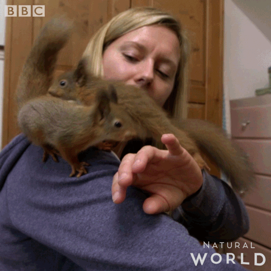 natural world friends GIF by BBC Earth