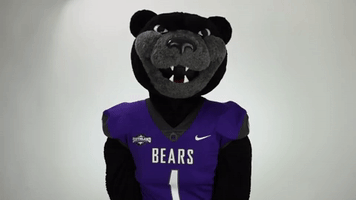 bearclawsup smh GIF by University of Central Arkansas