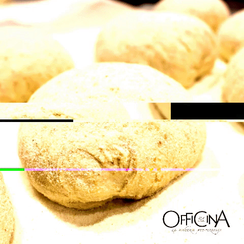 Officina51 GIF by Megattera