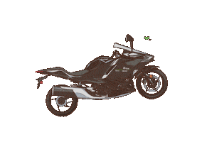 Motorcycle Ninja Sticker