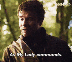 As You Wish Game Of Thrones GIF