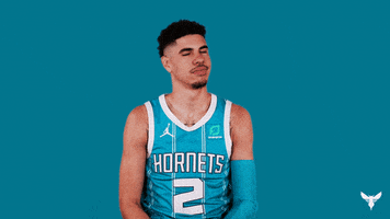 Lamelo Ball No GIF by Charlotte Hornets