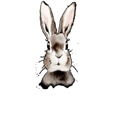 Metsola Lifestyle Sticker