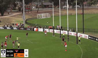 Vfl GIF