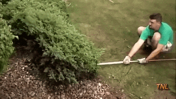 butcher  GIF