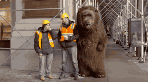 Super Bowl Bear GIF by ADWEEK - Find & Share on GIPHY