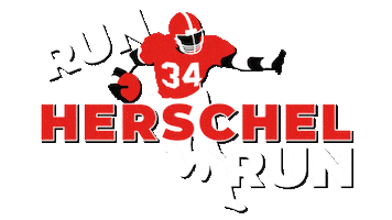 Election Georgia Sticker by Team Herschel