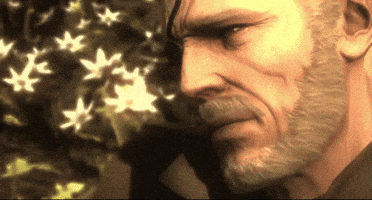 Mgs GIF