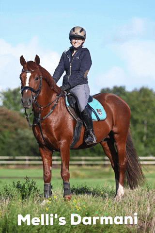 Mellis Reiter Shop GIF