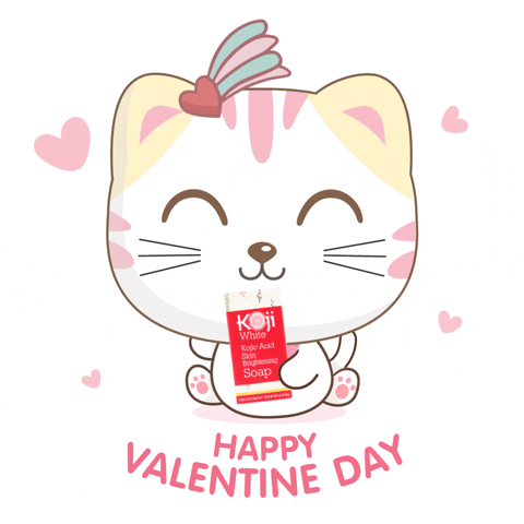 Valentines Day Love GIF by Koji White