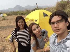 wt  GIF