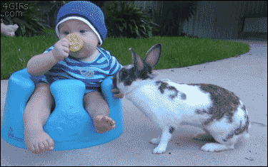 Baby Stealing GIF - Find & Share on GIPHY