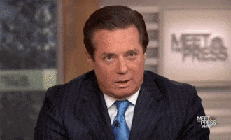 paul manafort by BECKY'S INCREDIBLE GIF COLLECTION