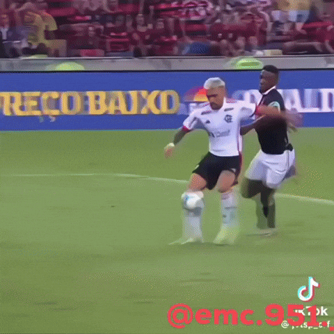Vasco 6X1 GIF