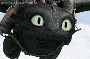 how to train your dragon g*mine GIF