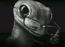 Geico Lizard Glasses GIF
