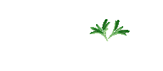 Natural Products Sticker by SWIM SKIN + BODY