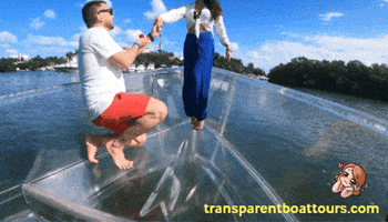 Transparent Boat Tours GIF