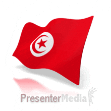 flag perspective GIF