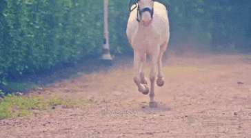 Chand Jalne Laga GIF