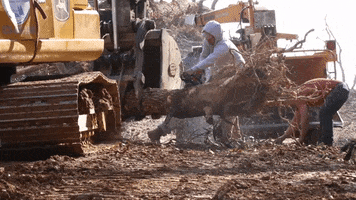 Chainsaw Cutting GIF by JC Property Professionals