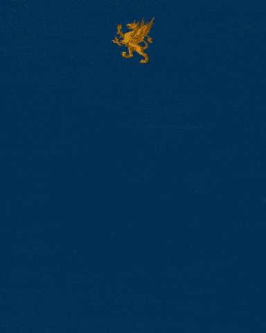 TheHolyGrail™ Boxing GIF