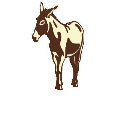 Donkey Brevard Sticker by Frank | Social Burro