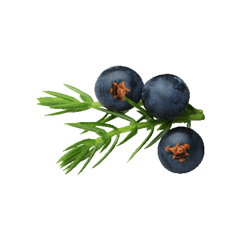 Cocktail Berry Sticker by freikopf