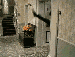 john cleese people are over GIF