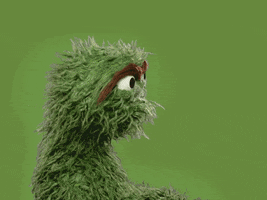 Look There This Way GIF by Sesame Street
