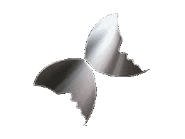 Mariposa Sticker by Body Health Group