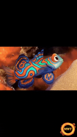 3Danimation GIF