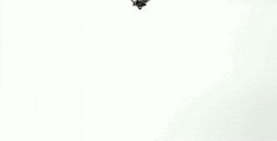 200.gif