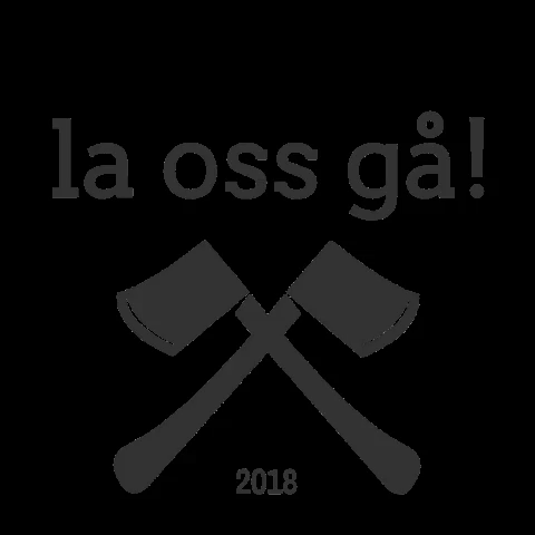 Slalom Laossga GIF