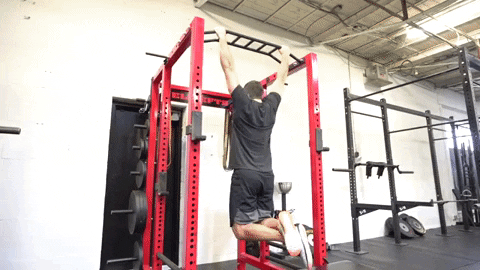 Top 5 Best Calisthenics Back Exercises 5 giphy