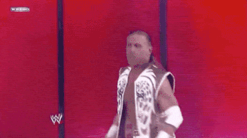 Shawn Michaels Wrestling GIF by WWE