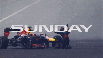 Formula One F1 GIF by Engineered Insanity