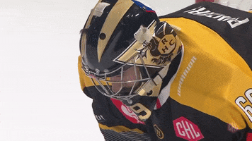 Dragons Rouen GIF by Champions Hockey League