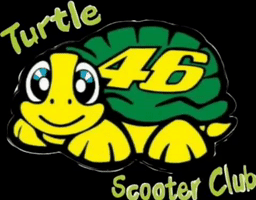 Tuttle'S GIF