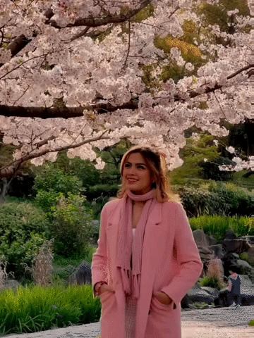 Cherry Blossoms Pink GIF