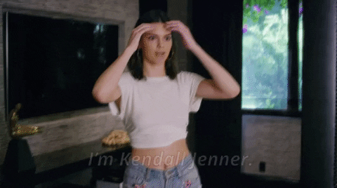 kendall jenner GIF by Lil Dicky
