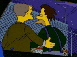 The Simpsons Ok GIF by slicedbread