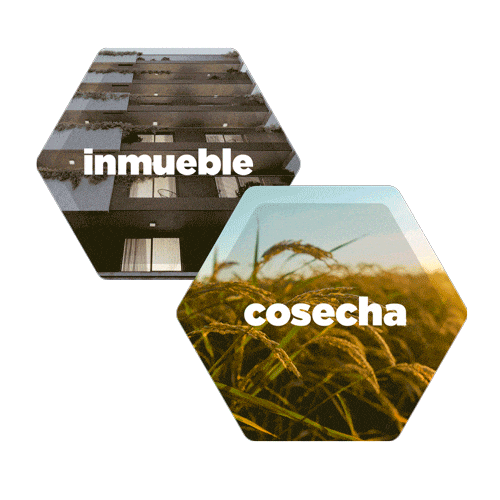 Agro Abr Sticker by Grupo América