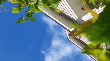 Milenio_Digital  GIF